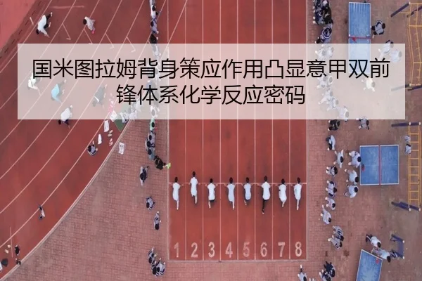 国米图拉姆背身策应作用凸显意甲双前锋体系化学反应密码